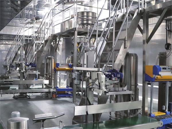 于晟记复合调味料——创新产品，助油炸食品厂拓展市场